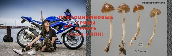 мдпв Богородск