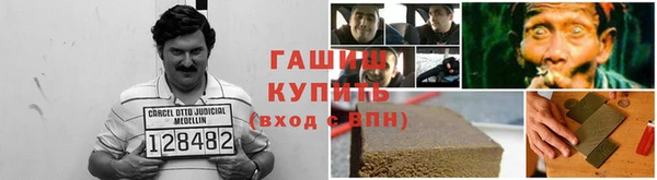 мдпв Богородск