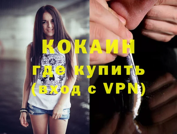 мдпв Богородск