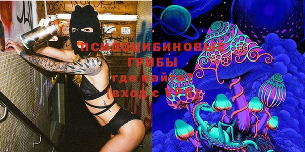 бутират Богородицк